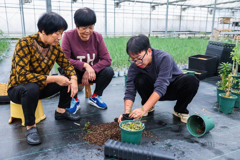 杭州富陽：特色共富工坊助力鄉(xiāng)村振興